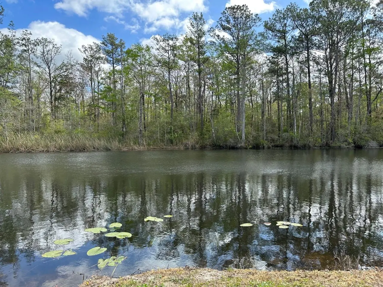 Heavy Metals Found in Alaqua Creek: Walton County Orders New Groundwater Tests