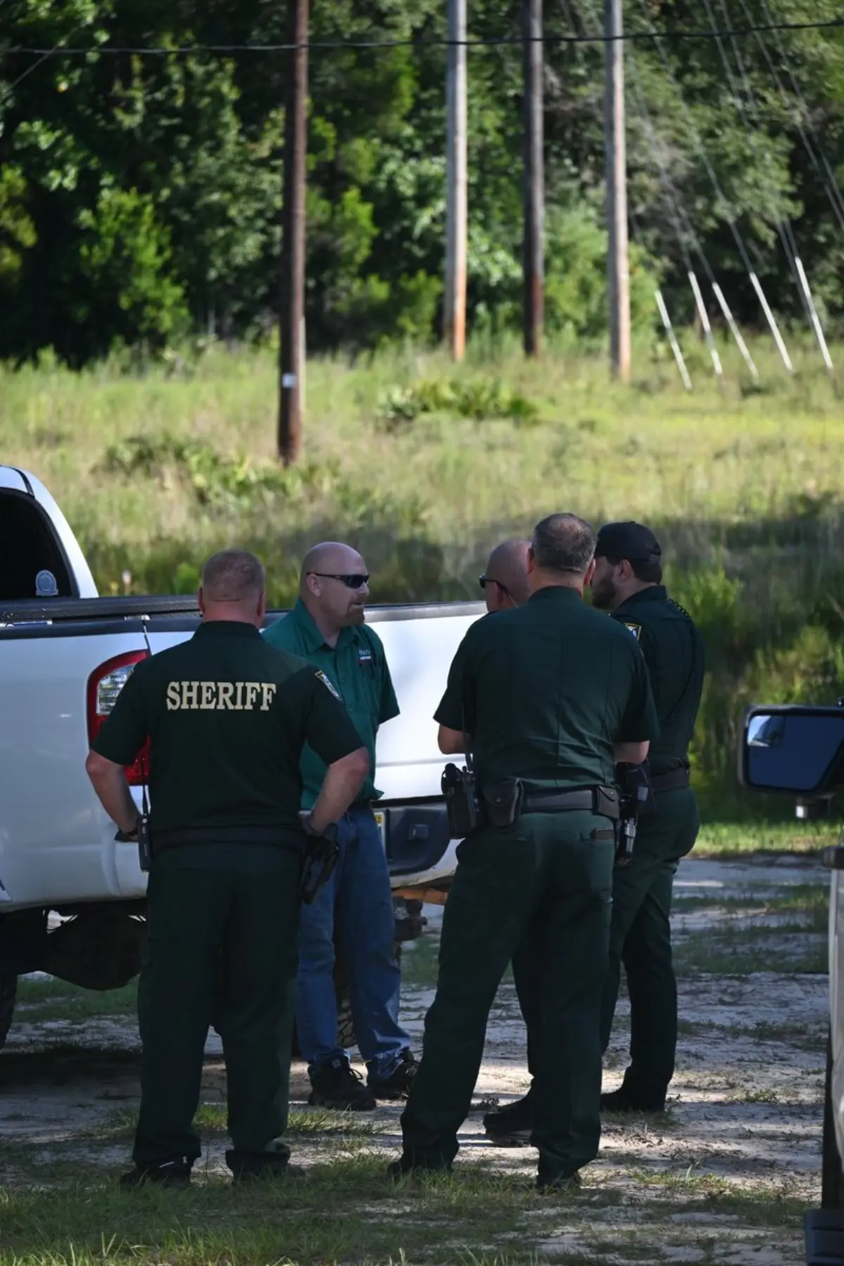 Freeport Man Climbs Tree to Avoid Arrest After Property Dispute