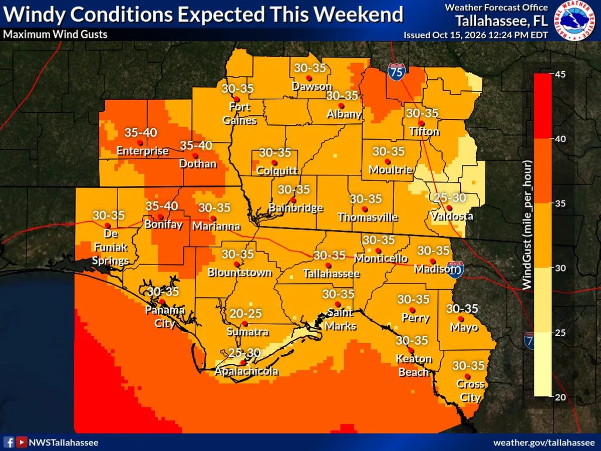 Don't Burn Hurricane Debris, Walton County Fire Rescue Says