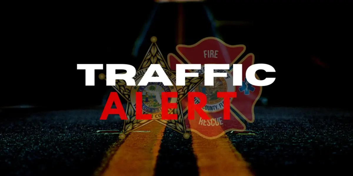 Tree Knocks Out Power, Traffic Signals on US 331 South in Freeport