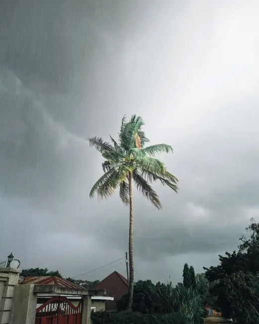 Tropical Storm Watch Issued for Freeport Area as Tropical Depression Forms Off Florida Coast