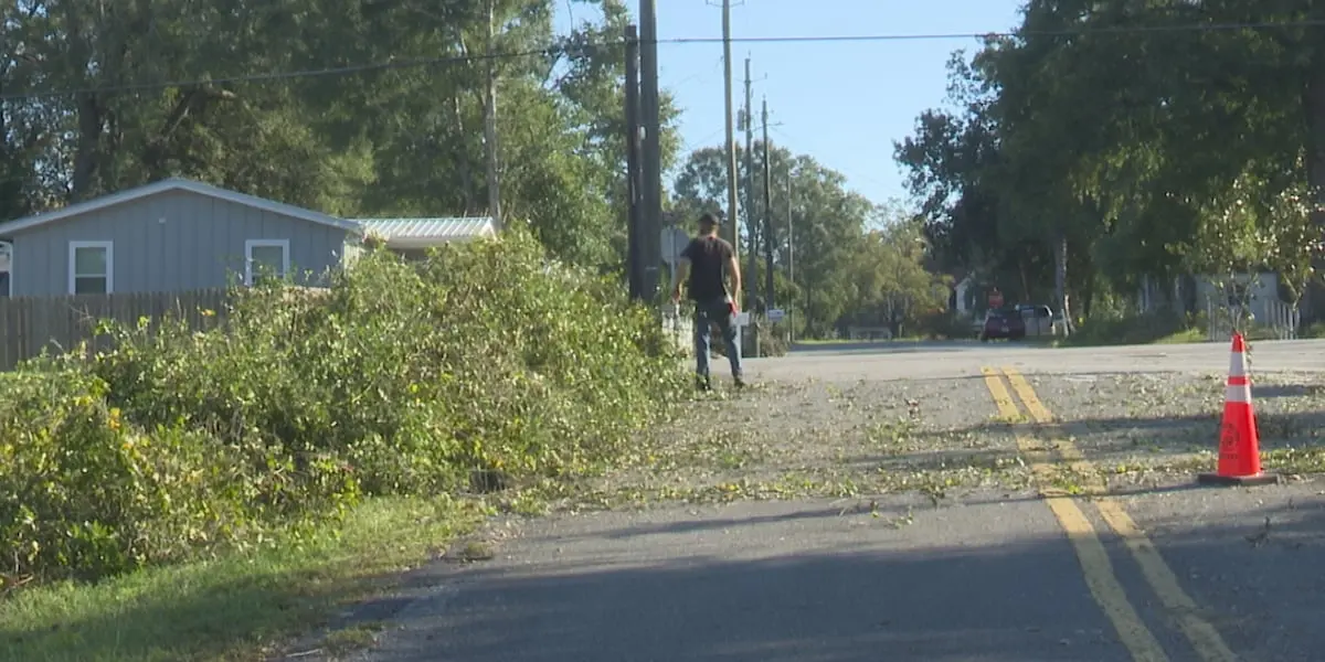 Walton County Storm Debris Pickup Begins Wednesday