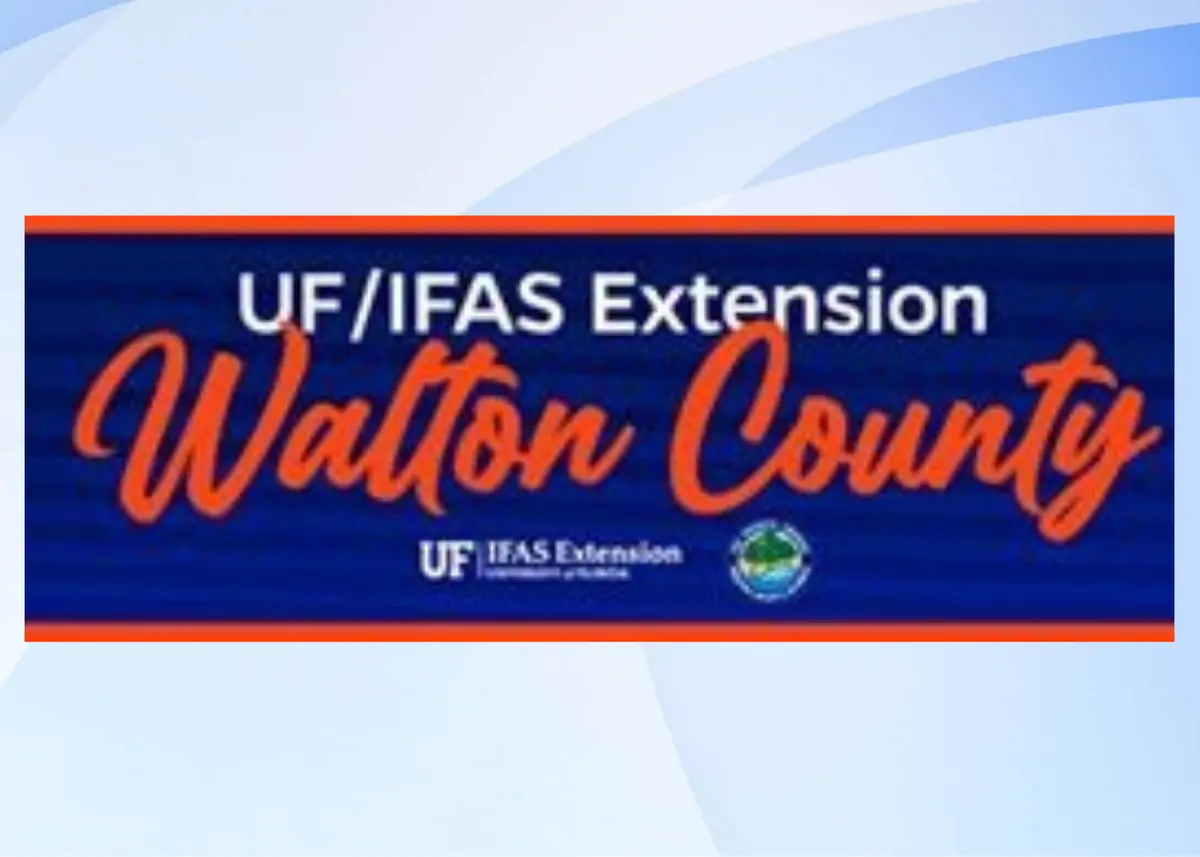 Walton County Extension Rolls Out Fall Programs for Freeport Families